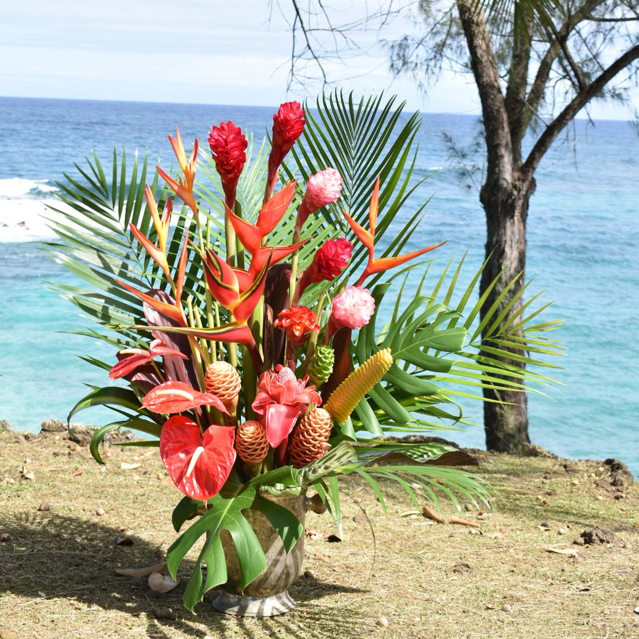 Fressia Plumeria