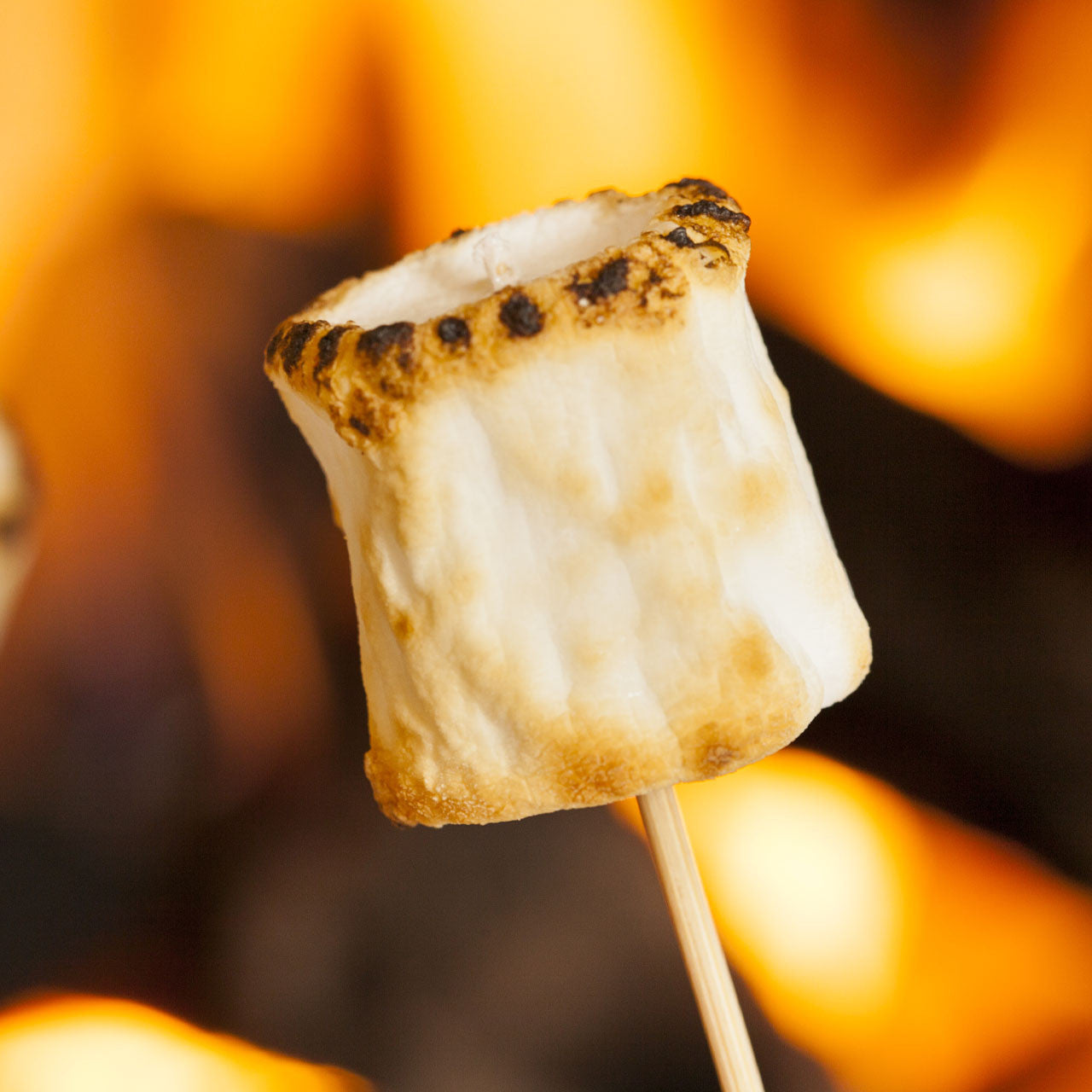 Toasty Marshmallow