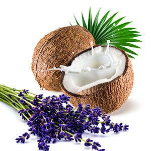 Coconut Lavender