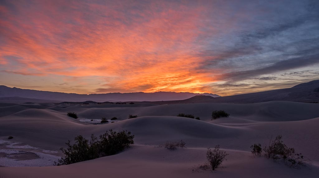 Desert Sunset