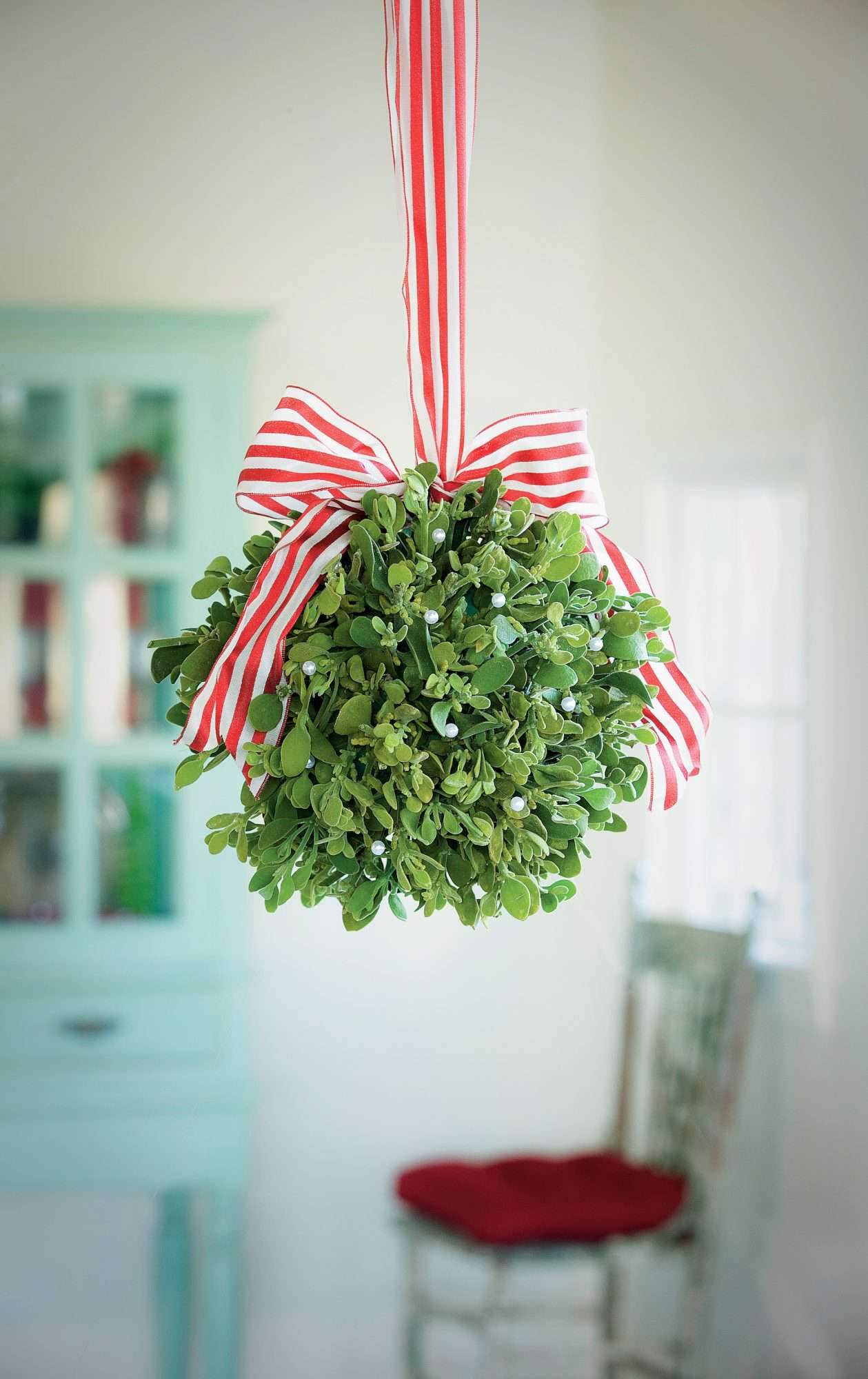 Mistletoe