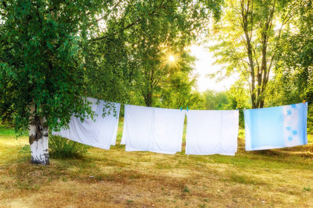 Sun Dried Laundry